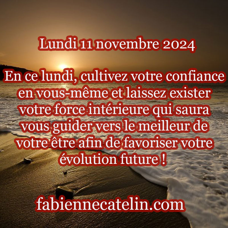 1 11 novembre 2024