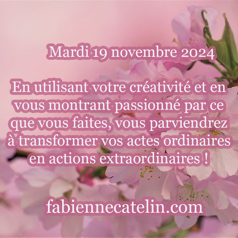 2 19 novembre 2024