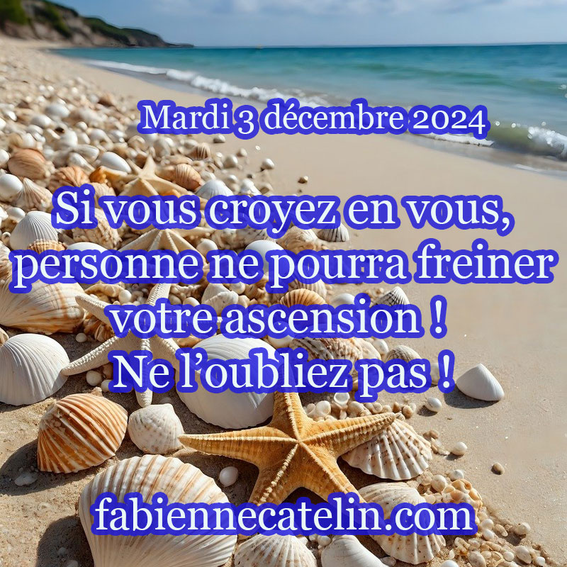 2 3 decembre 2024