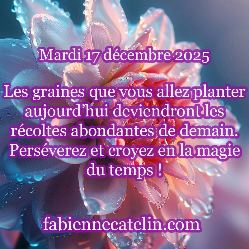 2 17 decembre 2024