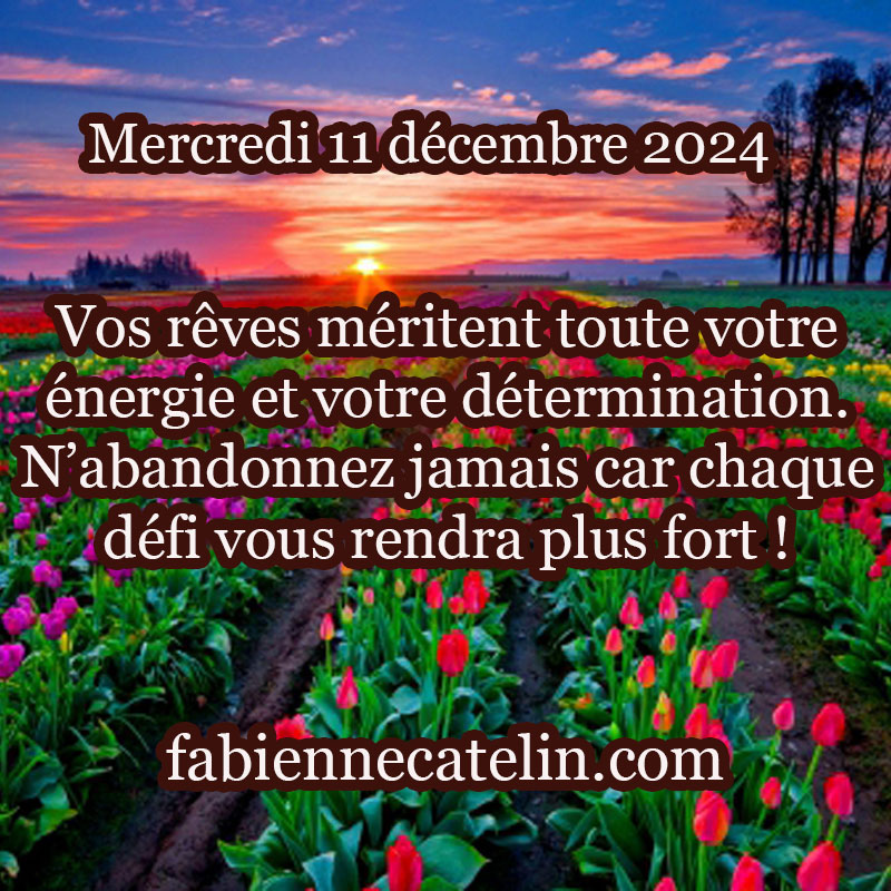 3 11 decembre 2024