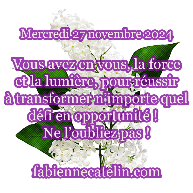 3 27 novembre 2024