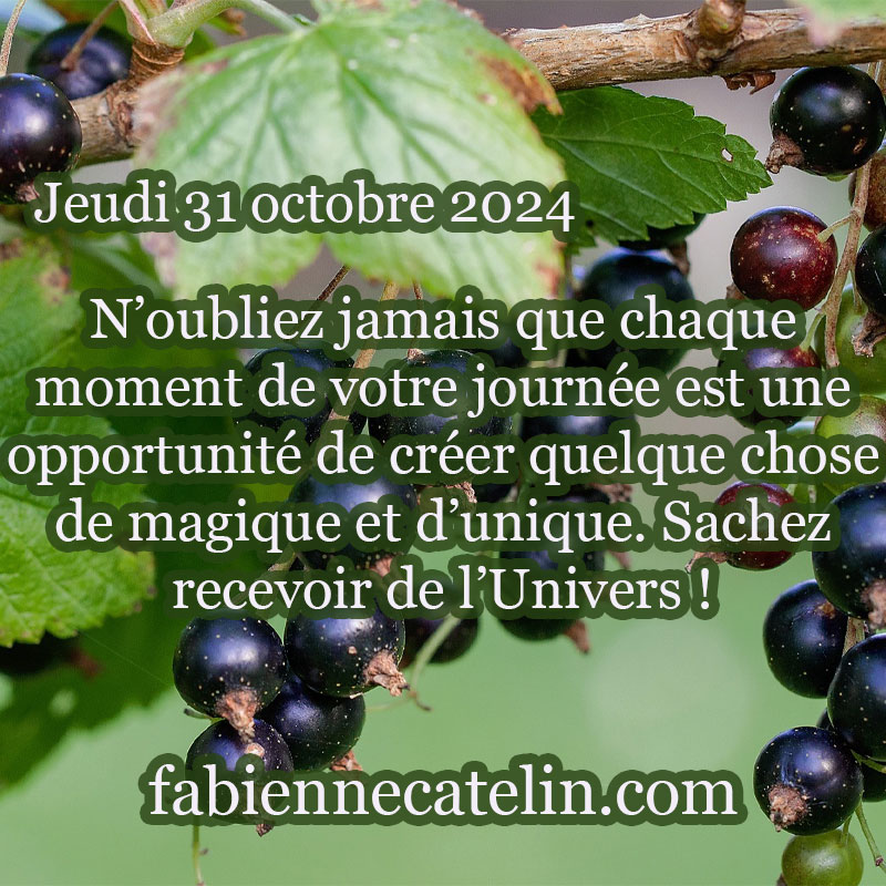 4 31 octobre 2024