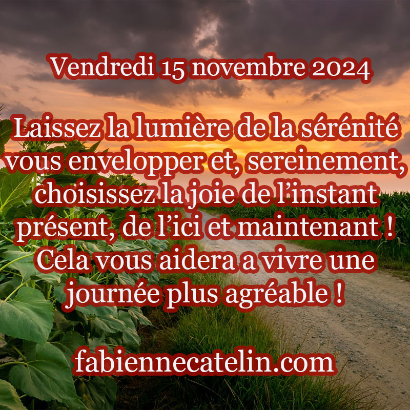 5 15 novembre 2024