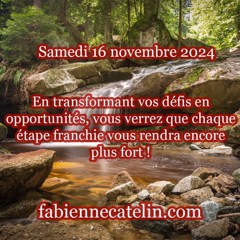 6 16 novembre 2024