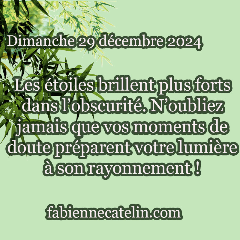 7 29 decembre 2024