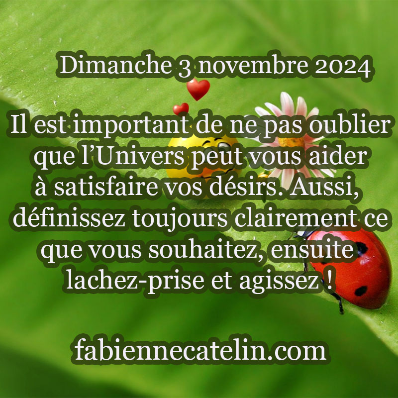 7 3 novembre 2024