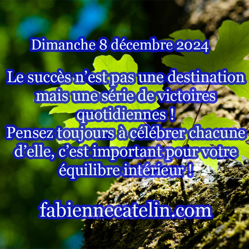 7 8 decembre 2024