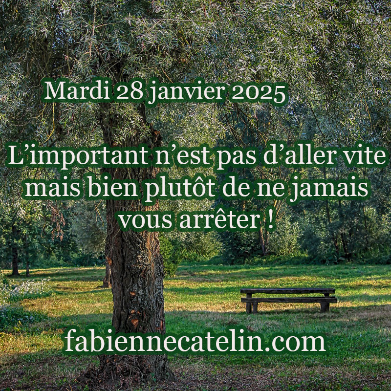 2 28 janvier 2025