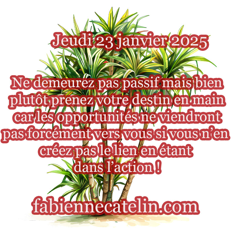 4 23 janvier 2025