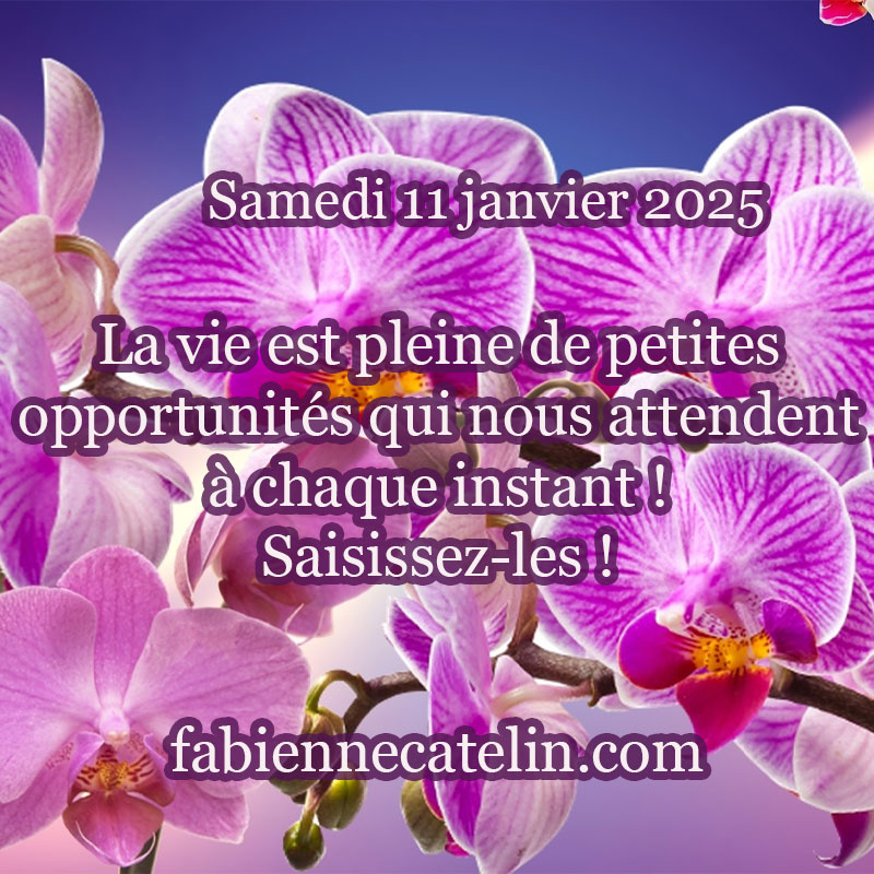 6 11 janvier 2025