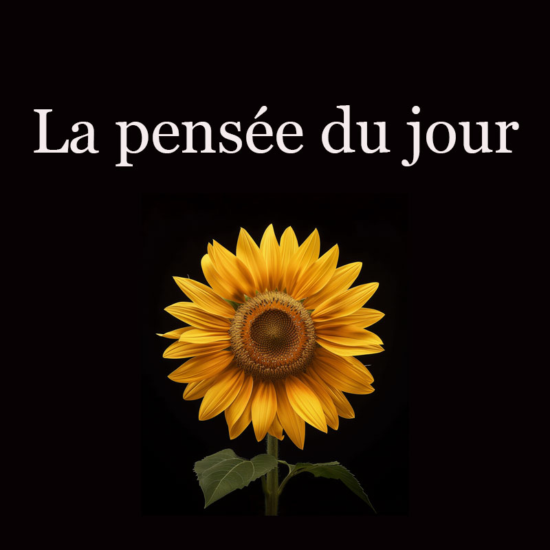 pensée du jour