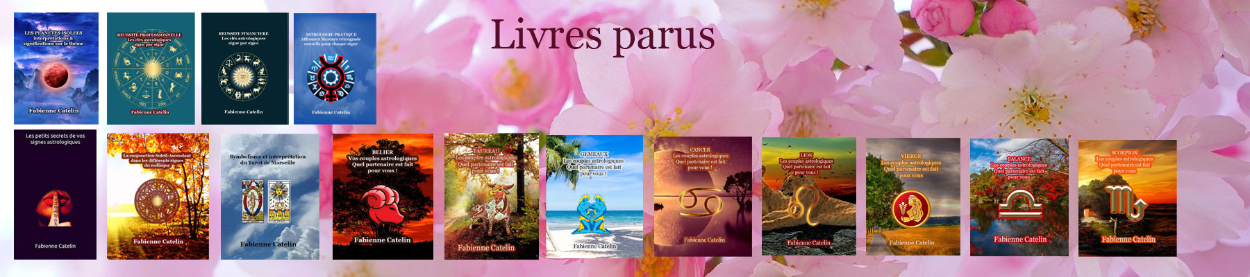 bandeau livre accueil 5