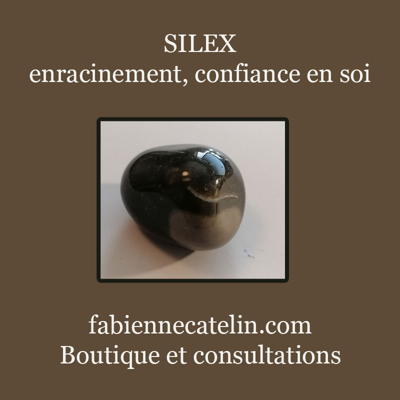 1 10 novembre 2025