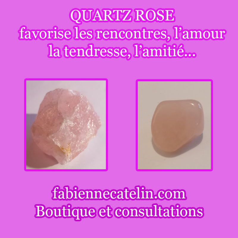 2 4 novembre 2025