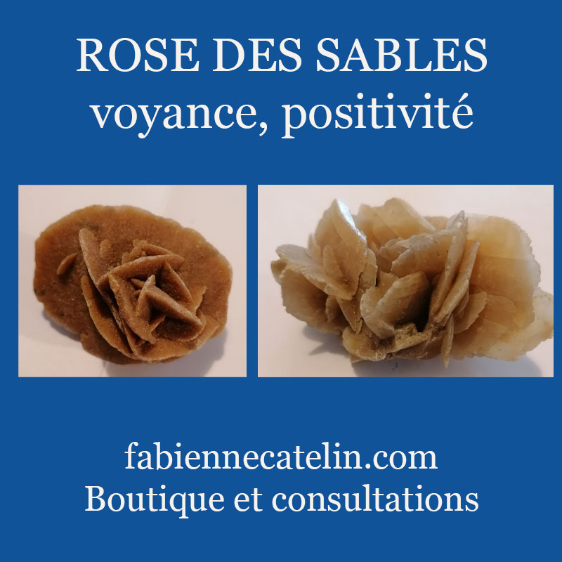 6 8 novembre 2025