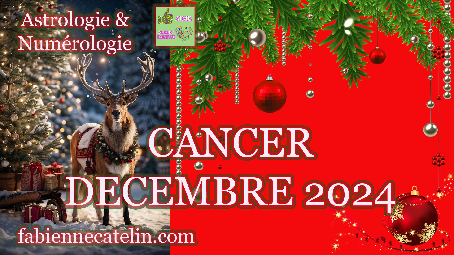 cancer decembre 2024