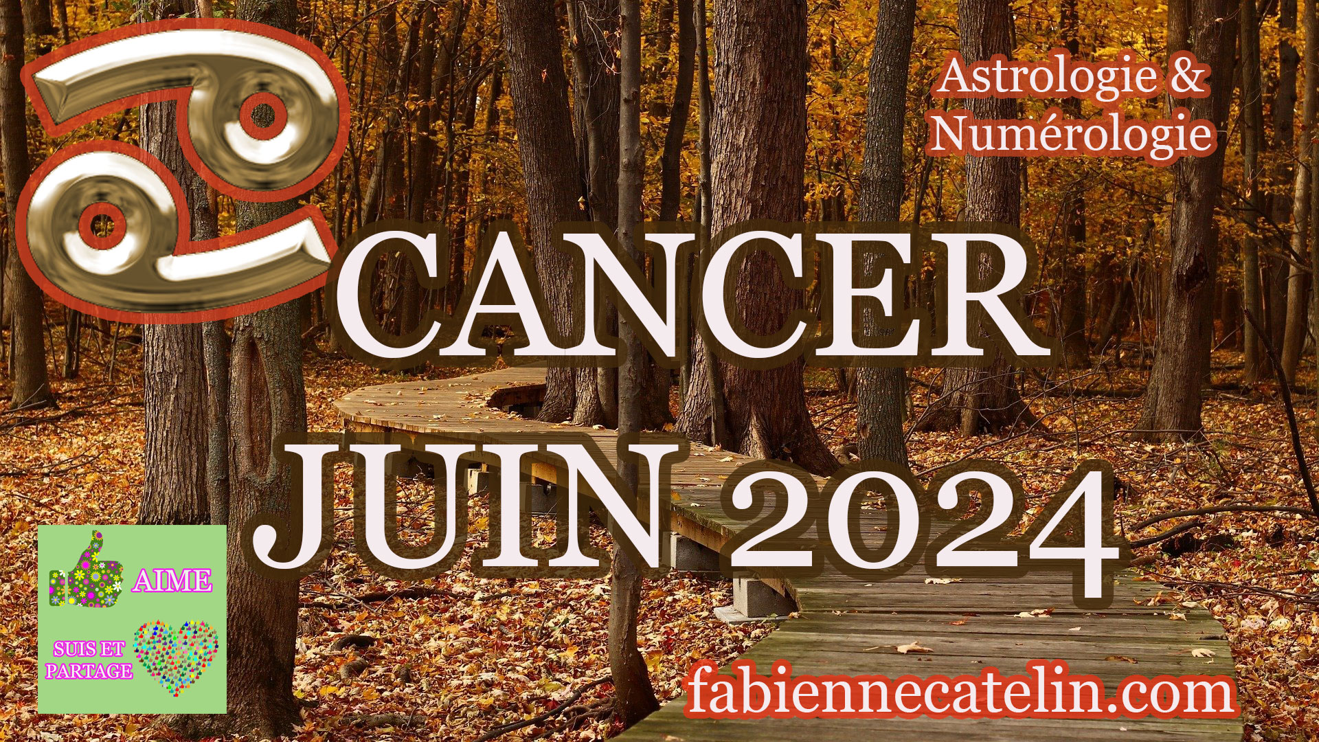 cancer juin 2024