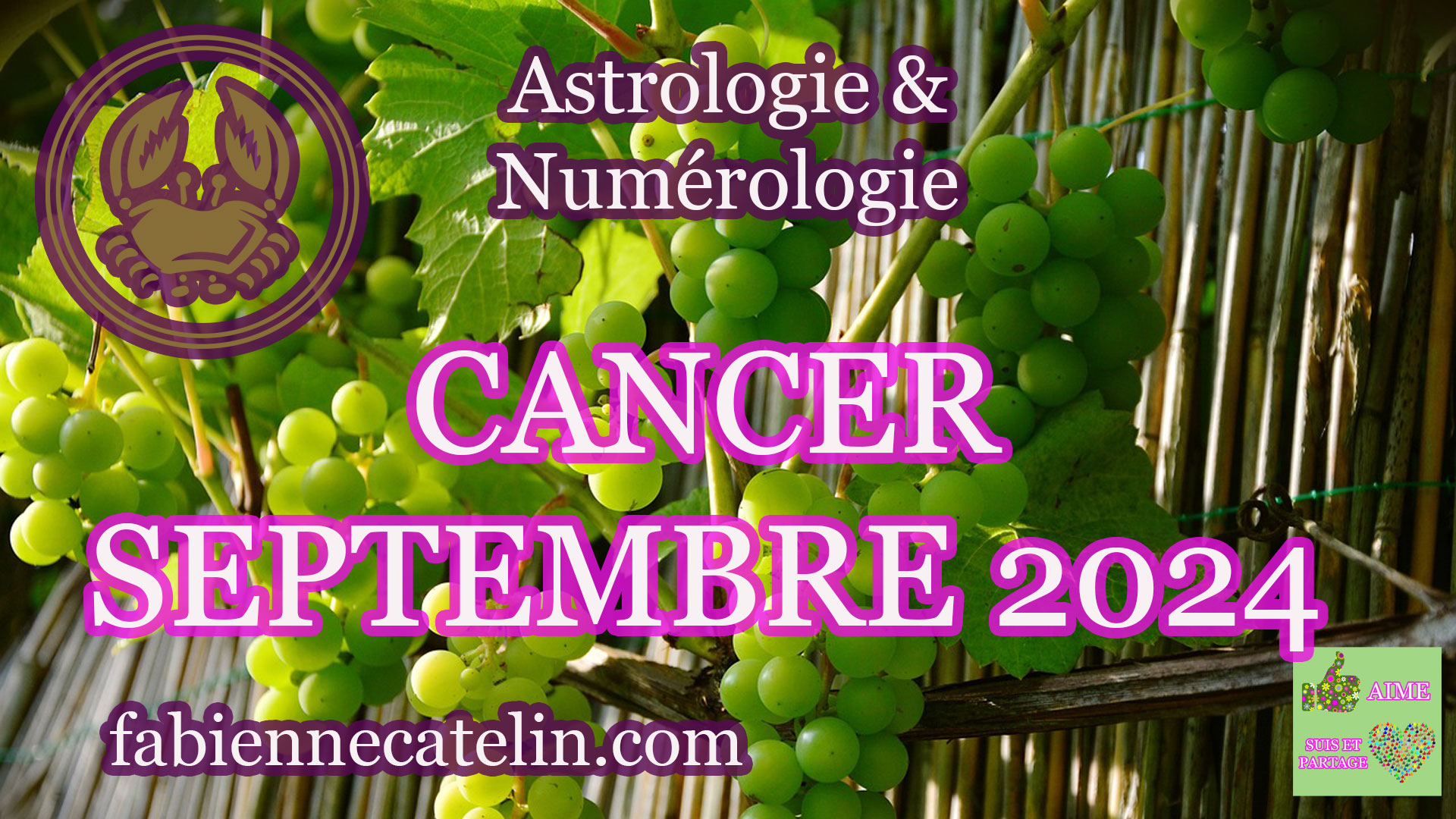 cancer septembre 2024