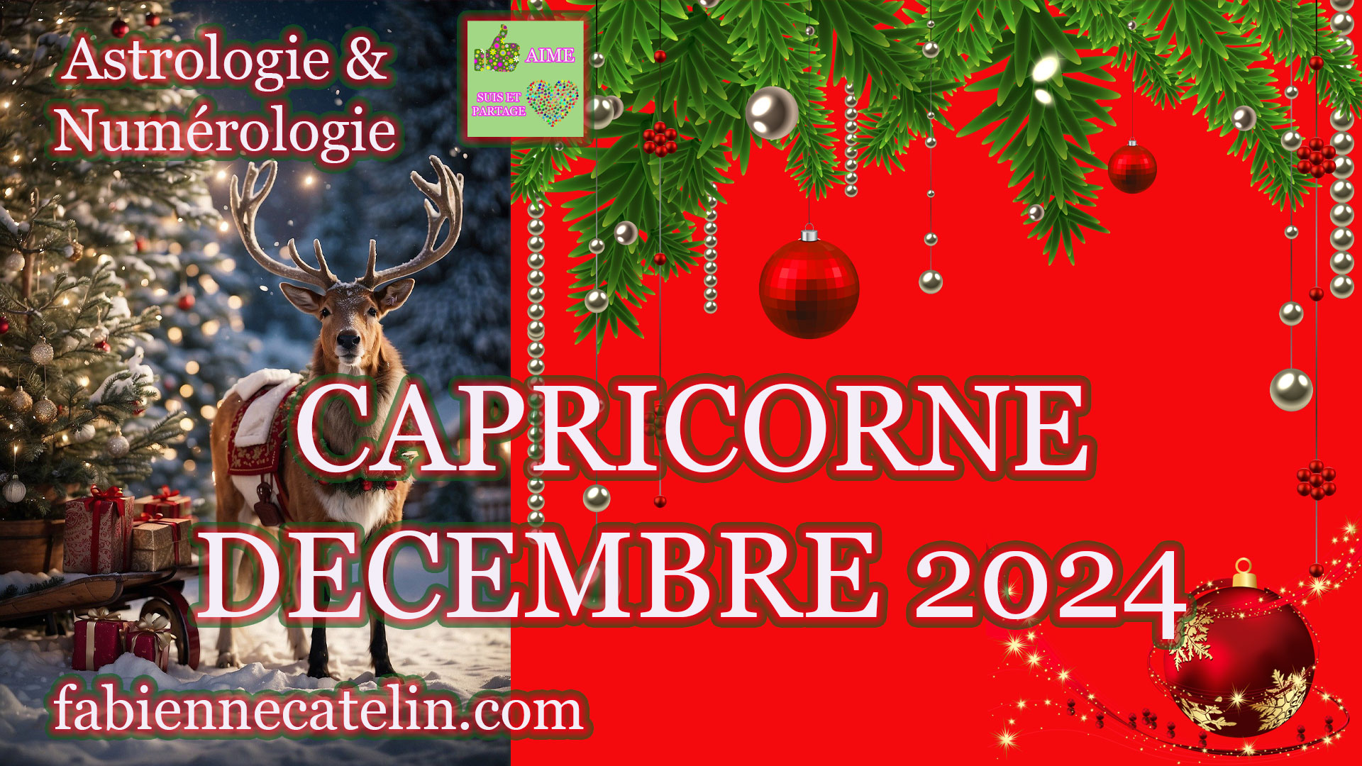 capricorne decembre 2024