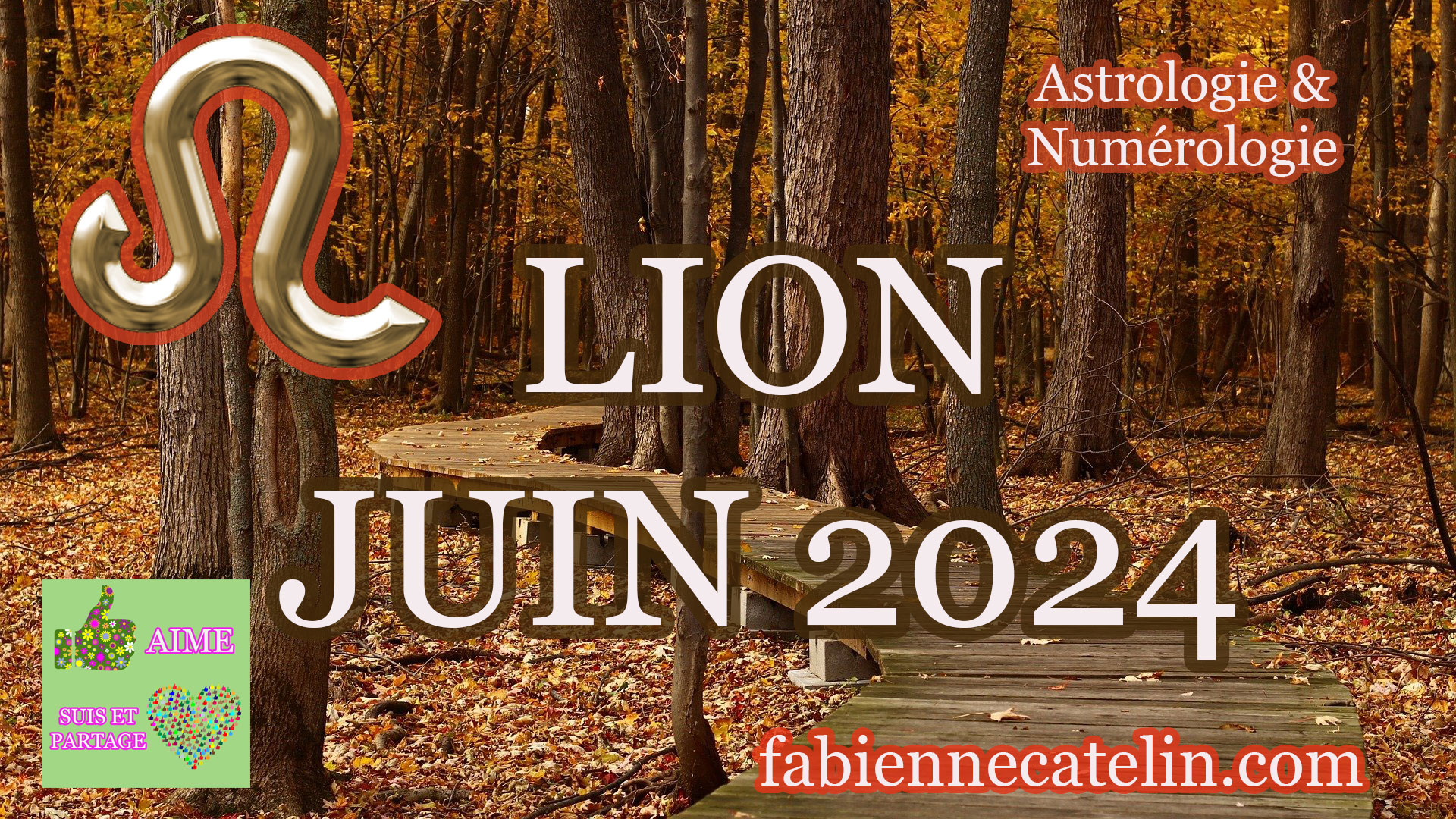 lion juin 2024