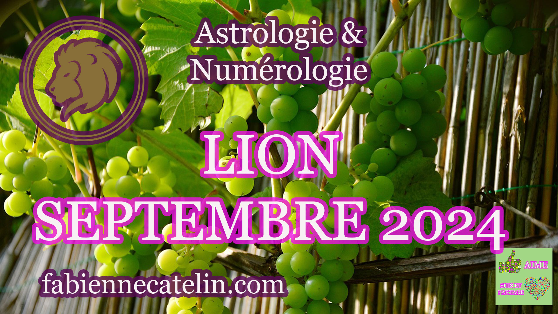 lion septembre 2024