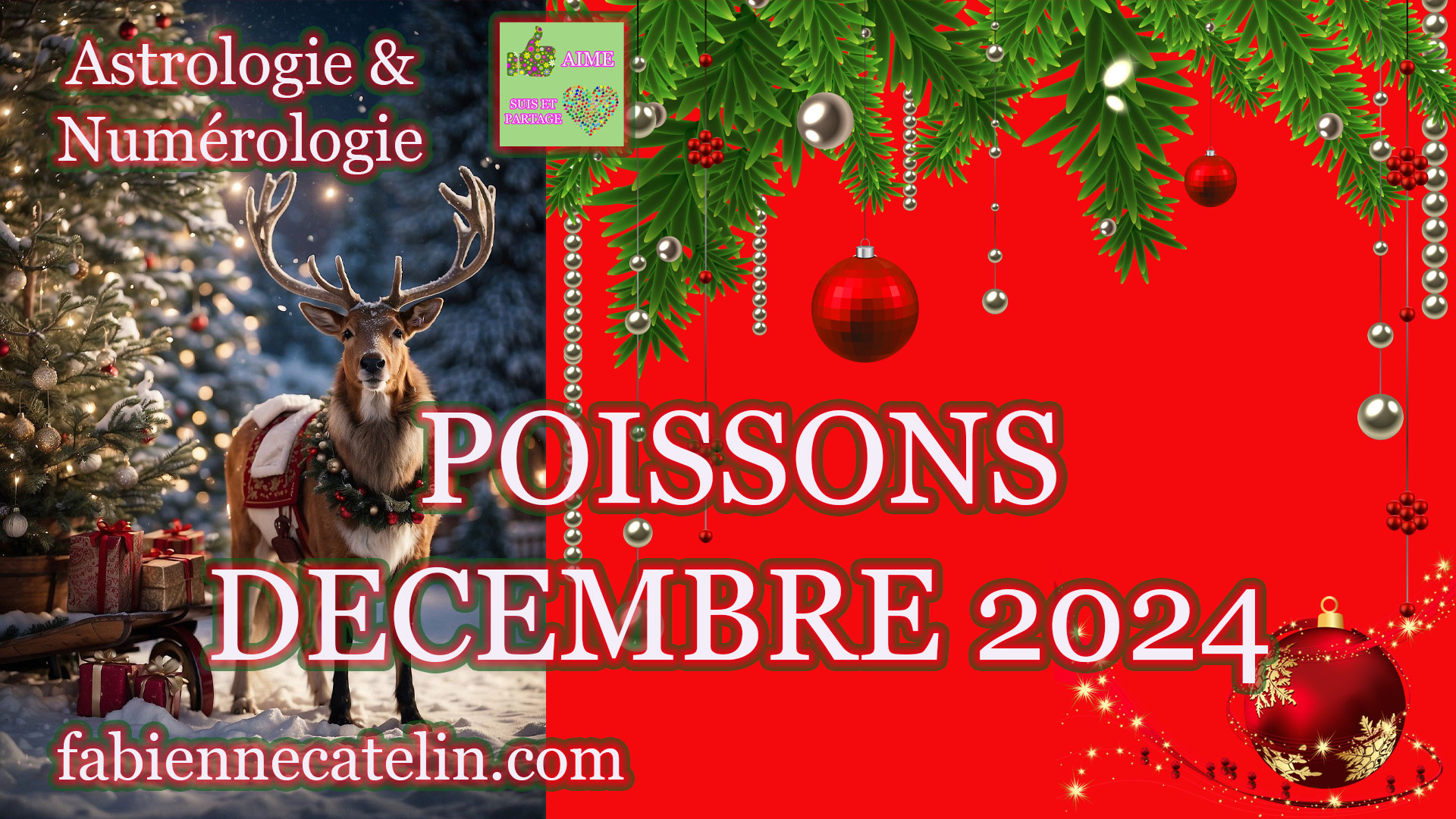 poissons decembre 2024