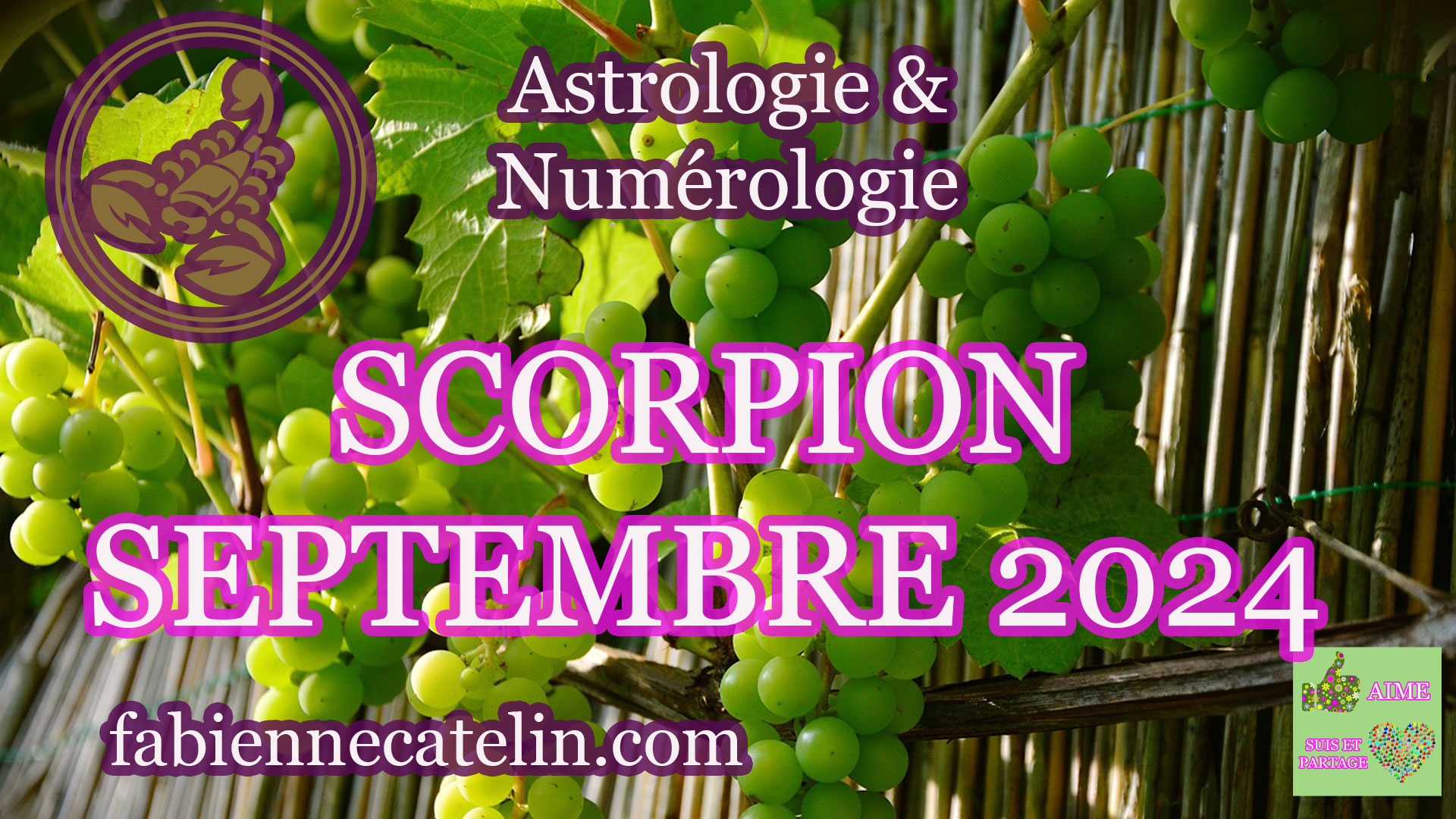 scorpion septembre 2024