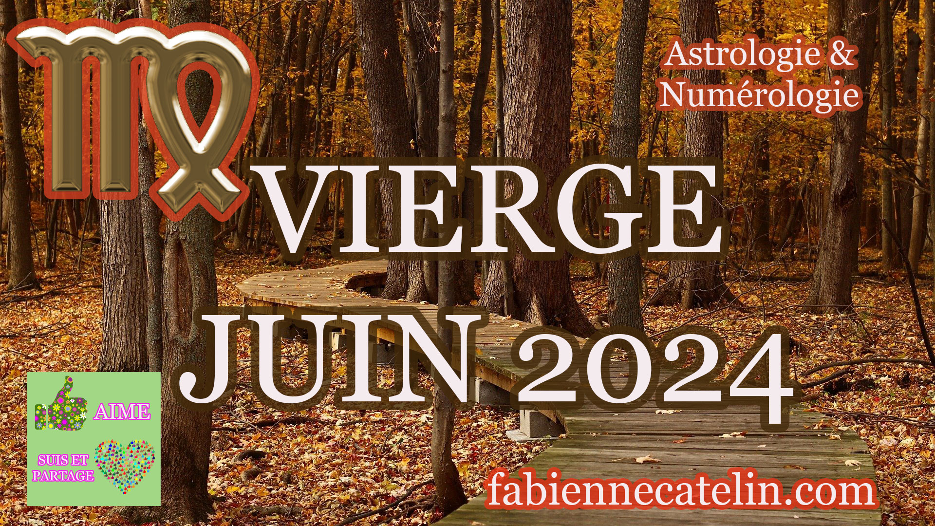 vierge juin 2024